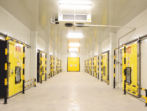 Cold Chain Logistics